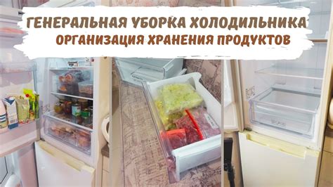 Заполнение холодильника Стинол: организация продуктов и рекомендации по хранению