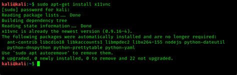 Запуск VNC сервера на Kali Linux