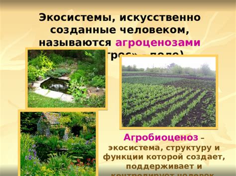 Заселяют искусственно созданные курятники