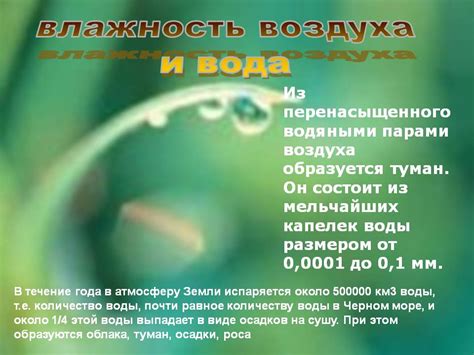 Застойная вода и влажность