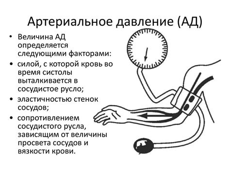 Застой в сосудах – частое последствие повышенного артериального давления