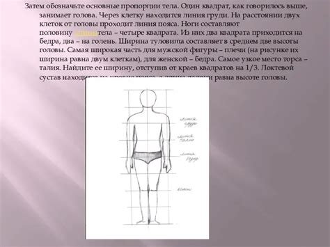 Захватите основные пропорции