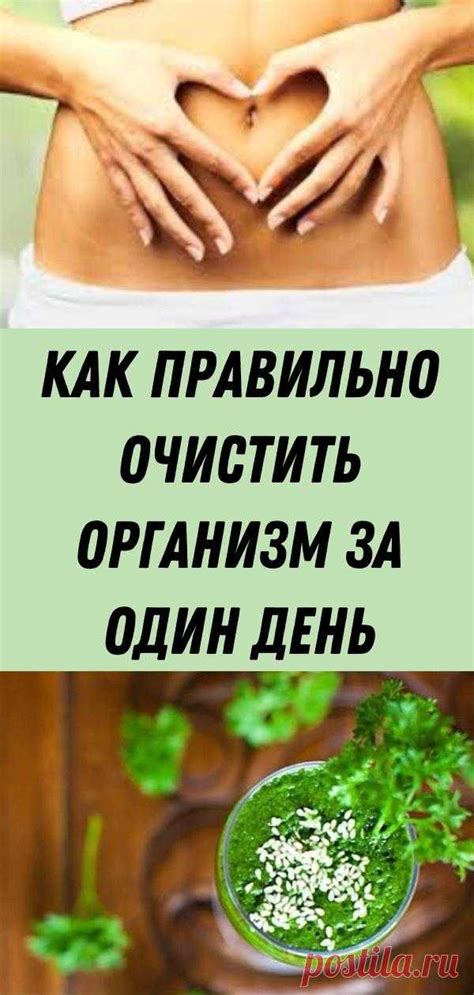 Зачем и как очистить организм?