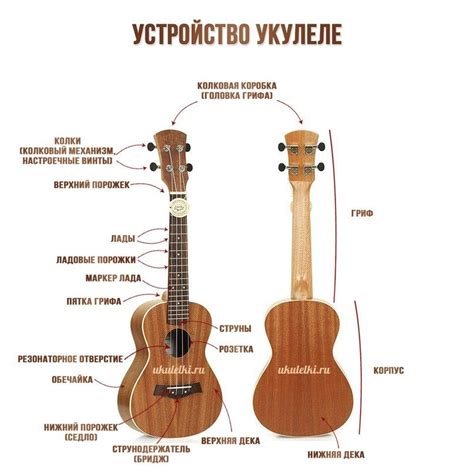 Зачем настраивать укулеле для этой песни