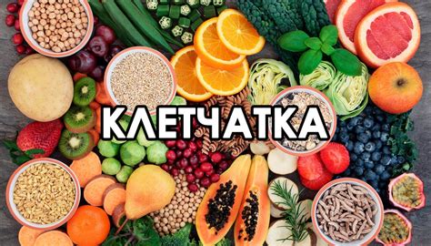 Зачем нужна клетчатка и в чем ее польза?