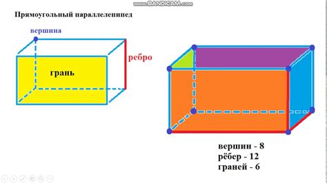 Зачем нужно знать количество граней у параллелепипеда?