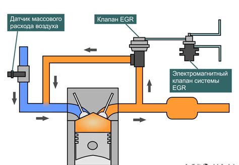 Зачем нужно проверять ЕГР?