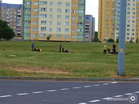 Зачем нужно сохранять окружающую среду в городе?