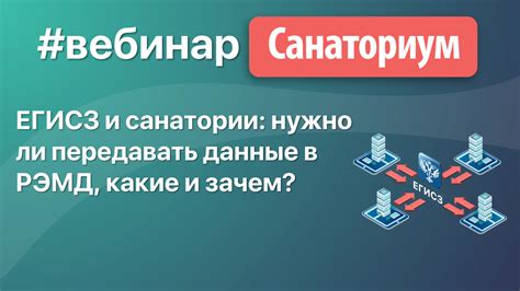 Зачем проверять компанию в ЕГИСЗ: основная информация