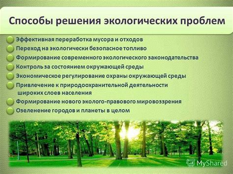 Зачем сохранять природу: важность экологического равновесия