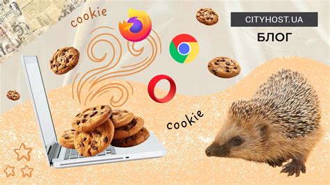 Зачем удалять cookie файлы и как это сделать на iPhone