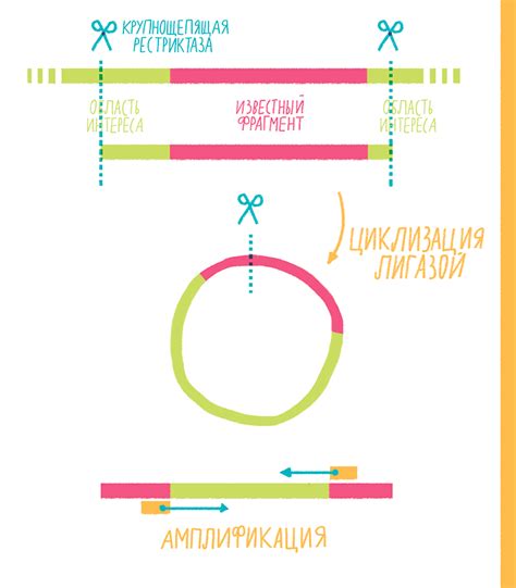 Зашумление ПЦР-реакции