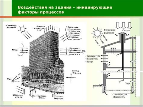 Защита елей от мороза: использование барков в медицине и строительстве