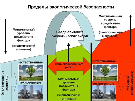 Защита и поддержка экологической среды