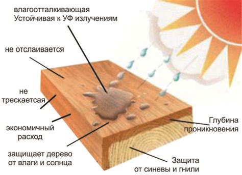 Защита от гниения и перегнивания