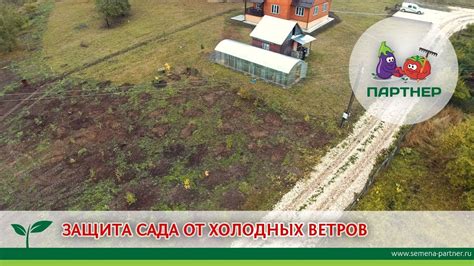 Защита от морозных ветров