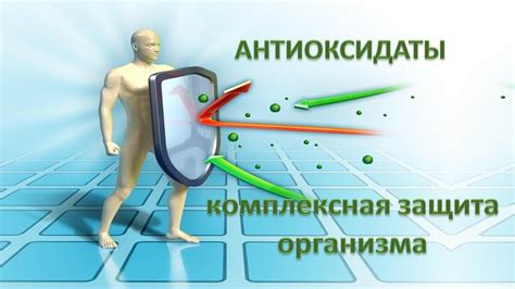 Защита от солнца и свободных радикалов