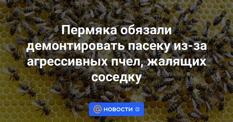 Защитите себя от агрессивных пчел