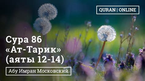 Звезда восходящая: предсказание судьбы Аянокоджи Киетаки