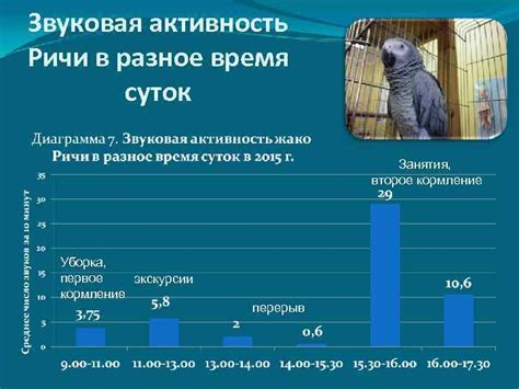 Звуковая активность