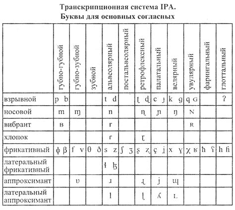 Звуковая система русского языка