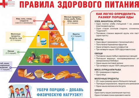 Здоровое питание: главные правила и рекомендации