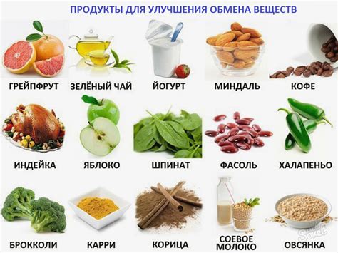 Здоровое питание: принципы и полезные продукты