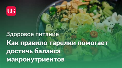 Здоровое питание помогает достичь успеха в изучении английского языка