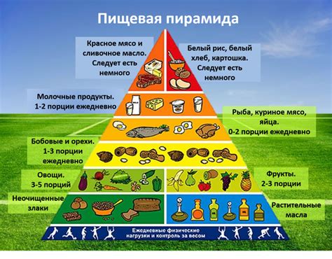 Здоровое питание - основа энергии