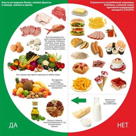 Здоровый образ жизни: рацион и отдых