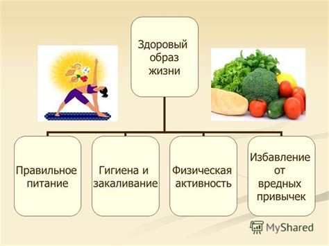 Здоровый образ жизни: физическая активность и правильное питание