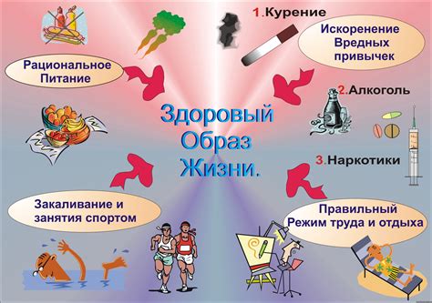 Здоровый образ жизни и эффект отсрочки старения