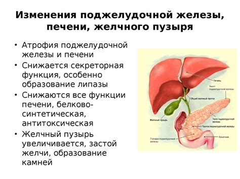 Здоровый образ жизни после удаления желчного пузыря