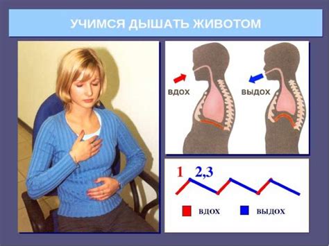 Здоровье и дыхание животом: какие преимущества для организма?