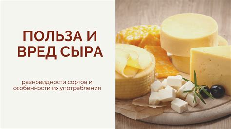 Здоровье и питание: особенности творога и сыра