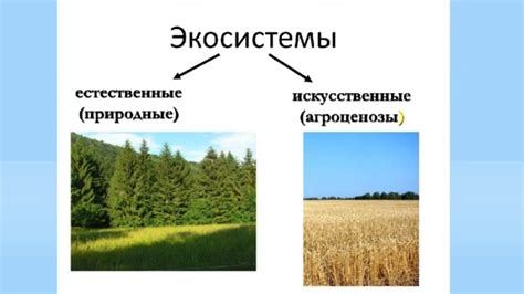 Зеленые друзья и экосистема