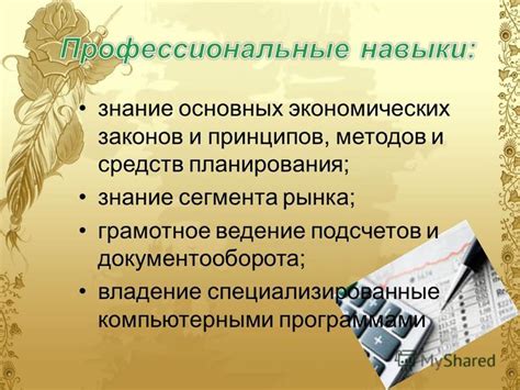 Знание основных принципов работы Синары