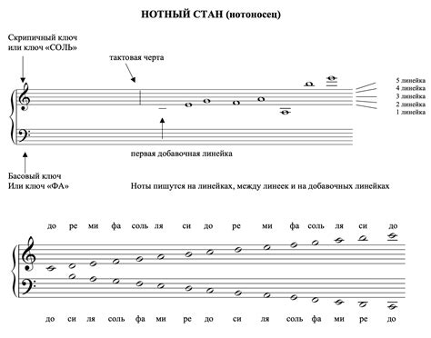 Значение белых и черных клавиш