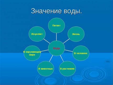 Значение воды в жизни саламандера и его приспособления к влажности