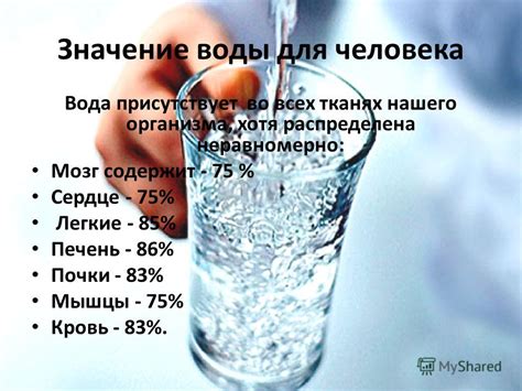 Значение воды для организма