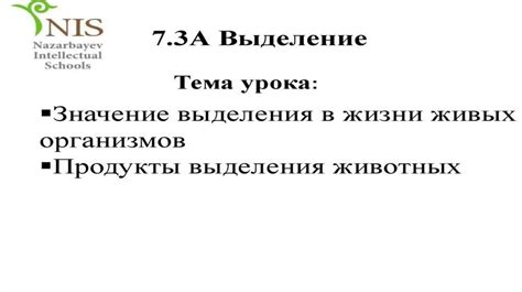 Значение выделения уровней внешней среды