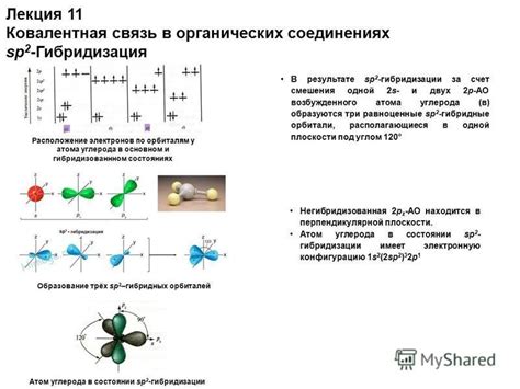 Значение гибридизации атомов углерода в органических соединениях