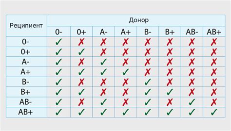 Значение группы крови для здоровья