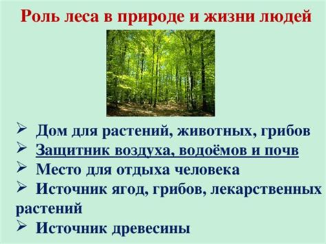 Значение для человека