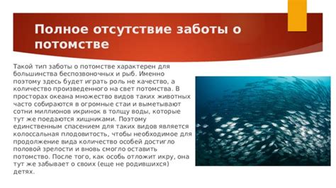 Значение заботы о потомстве для выживания и развития видов