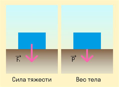 Значение измерения силы давления на тело