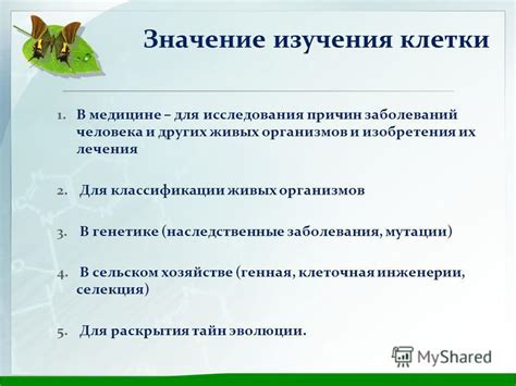 Значение изучения клетки для науки и медицины