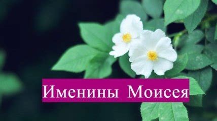 Значение имени Моисея в исламе