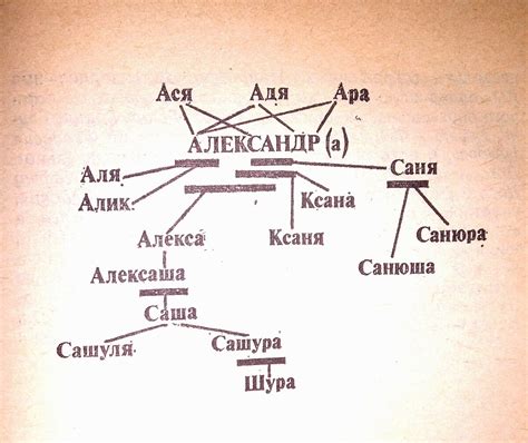 Значение имени Шурик в культуре и литературе