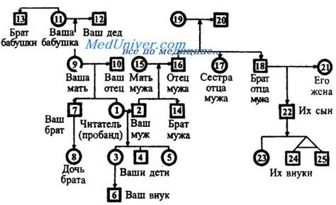 Значение исследования генеалогии для происхождения фамилии